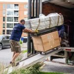 How to Relocate Pets Comfortably Without Stress