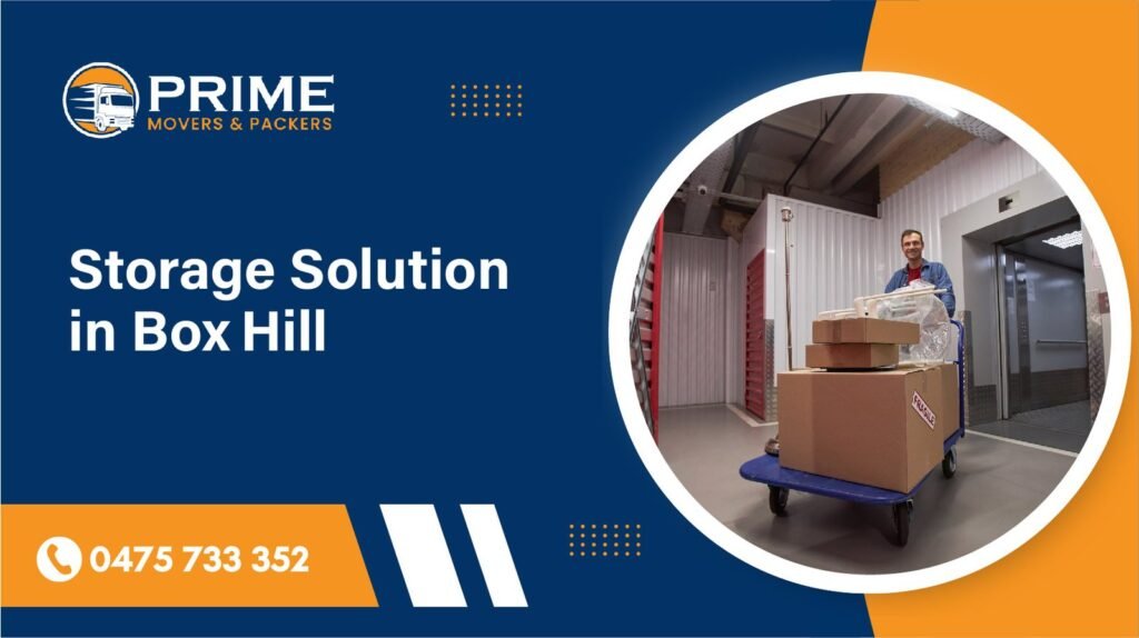 Storage Solution in Box Hill